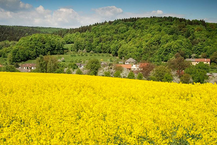 fotka-breznice-05, Březnice