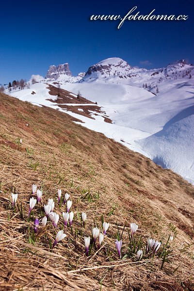 Gig_4041418, Dolomity, Averau