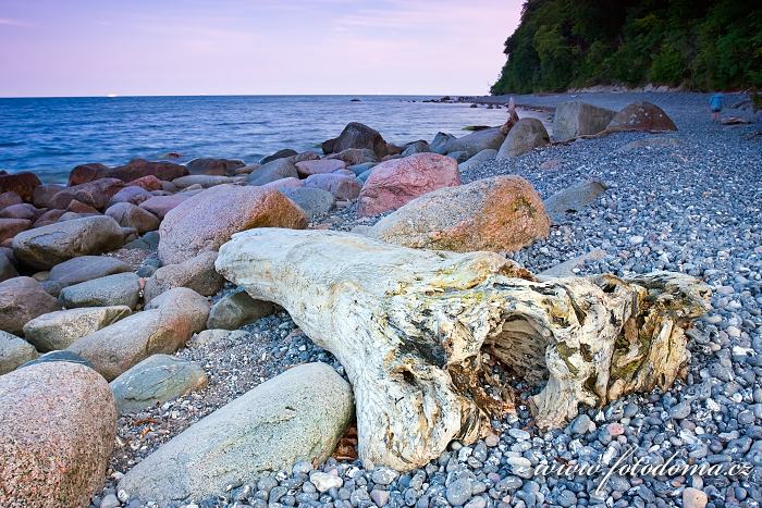 Fotka Dřevěná kláda na břehu moře v NP Jasmund