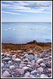Baltské moře s labutěmi