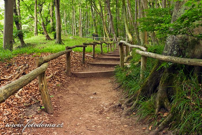 Fotka Národní park Jasmund, turistický chodník k Viktoriině vyhlídce