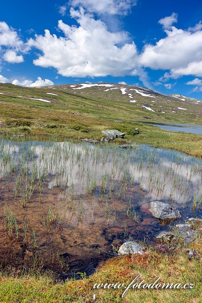 Krajina s jezerem Klepptjørna, Národní park Skarvan og Roltdalen, Norsko