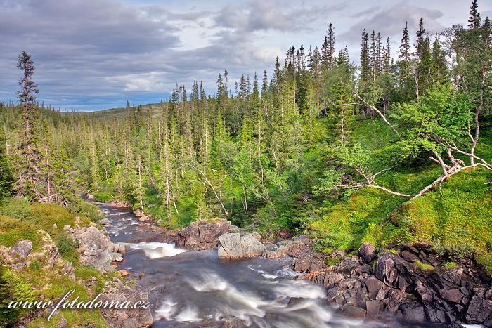 Řeka Torsbjørka, Národní park Skarvan og Roltdalen, Norsko