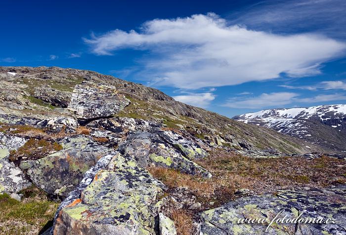 Krajina kolem jezera Røvassvatnan. Národní park Saltfjellet-Svartisen, kraj Nordland, Norsko