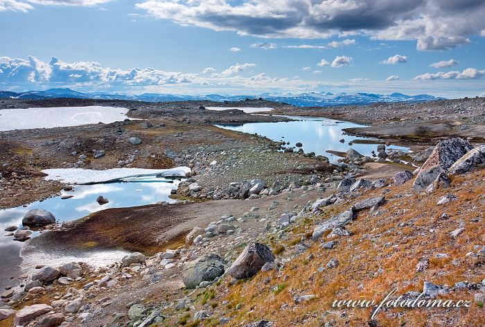 Jezírka poblíž jezera Lønstindvatnet. Národní park Saltfjellet-Svartisen, kraj Nordland, Norsko