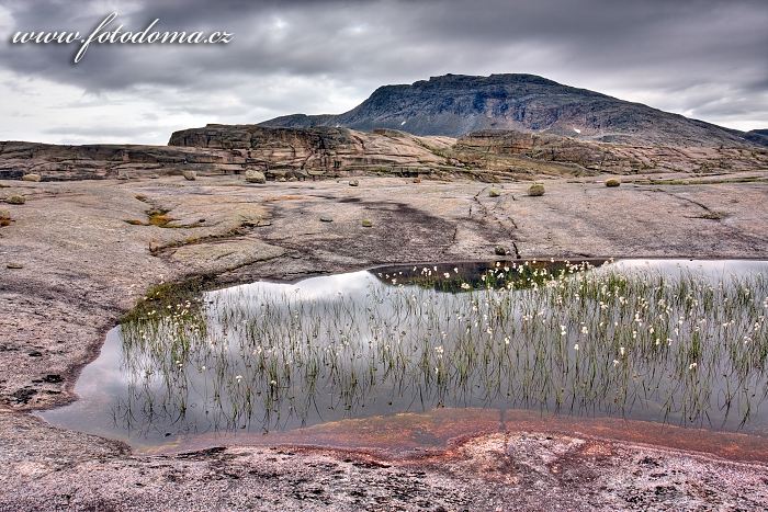 Jezírko s vrcholem Snøtoppen, národní park Rago, kraj Nordland, Norsko