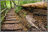 Turistický chodník, Ojcowski národní park, Ojcowski Park Narodowy, Polsko