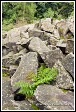 Kamenné pole na vrchu Lysica, masiv Swiety Krzys, Swietokrzyski národní park, Swietokrzyski National Park, Polsko