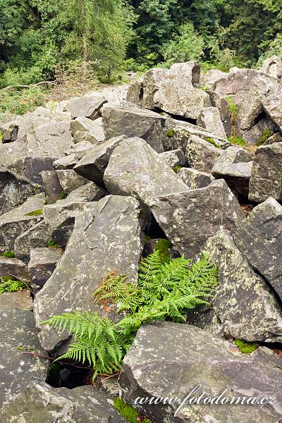 Fotka Kamenné pole na vrchu Lysica, Swietokrzyski národní park