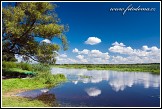 Řeka Narew u vesnice Bokiny, Narwianski národní park, Narwianski Park Narodowy, Polsko