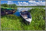 Loďky a řeka Narew u vesnice Bokiny, Narwianski národní park, Narwianski Park Narodowy, Polsko