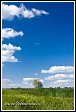 Mokřiny u vesnice Bokiny, Narwianski národní park, Narwianski Park Narodowy, Polsko