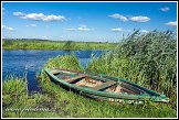 Loďka a řeka Narew u vesnice Waniewo, Narwianski národní park, Narwianski Park Narodowy, Polsko