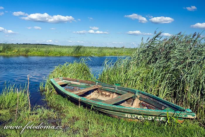 Fotka Loďka a řeka Narew u vesnice Waniewo, Narwianski národní park, Polsko