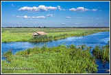 Řeka Narew u vesnice Waniewo, Narwianski národní park, Narwianski Park Narodowy, Polsko