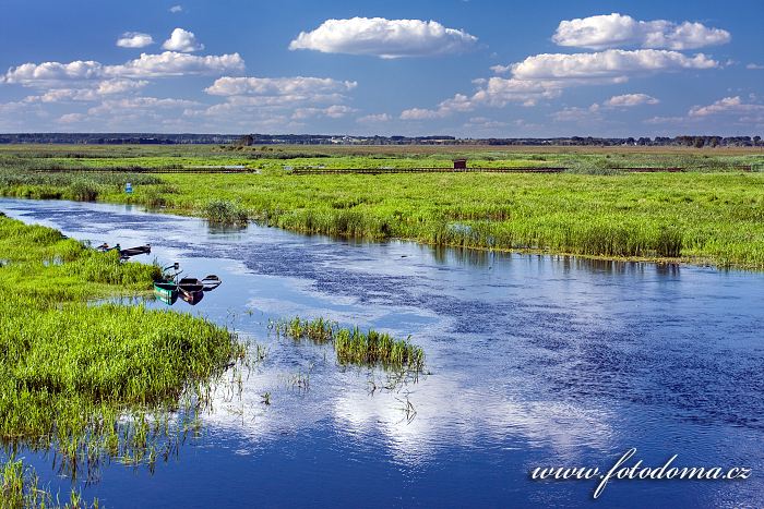 Fotka Řeka Narew u vesnice Waniewo, Narwianski národní park, Polsko