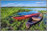 Čluny a řeka Narew u vesnice Waniewo, Narwianski národní park, Narwianski Park Narodowy, Polsko