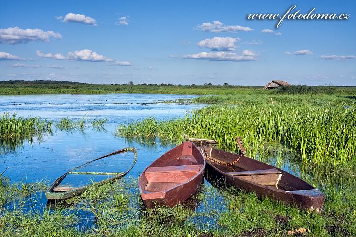 Fotka Čluny a řeka Narew u vesnice Waniewo, Narwianski národní park, Polsko