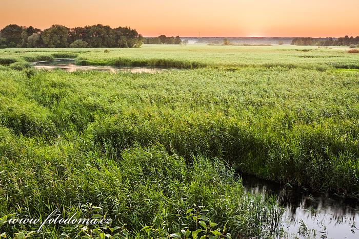 Fotka Řeka Narew u vesnice Kruszewo, Narwianski národní park, Polsko