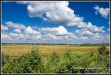 Grobla Honczarowska, bažiny Bagno Lawki, Biebrzanski národní park, Biebrzanski Park Narodowy, Polsko