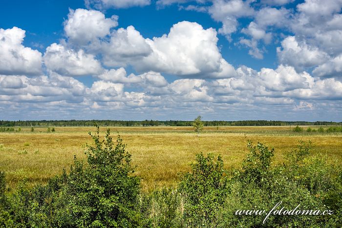 Fotka Grobla Honczarowska, bažiny Bagno Lawki, Biebrzanski národní park, Polsko