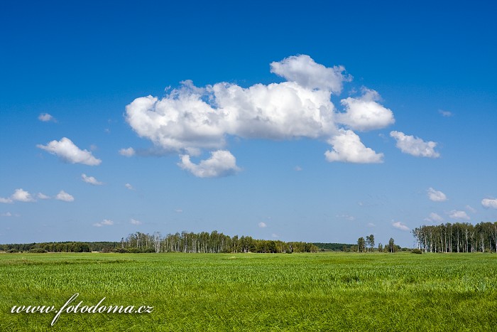 Fotka Krajina u Jasionowo, Biebrzanski národní park, Polsko