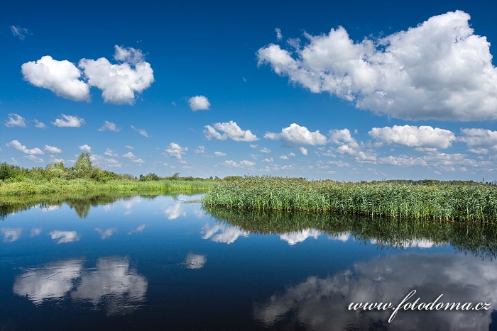 Fotka Řeka Biebrza u Jasionowo, Biebrzanski národní park, Polsko