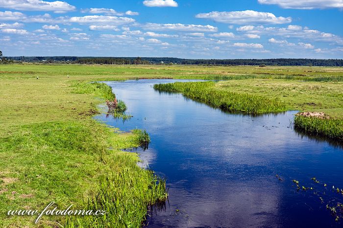 Fotka Řeka Biebrza u obce Jaglowo, Biebrzanski národní park, Polsko