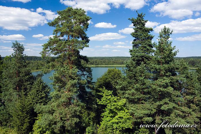 Fotka Jezero Okragle, Wigierski Park Narodowy, Polsko