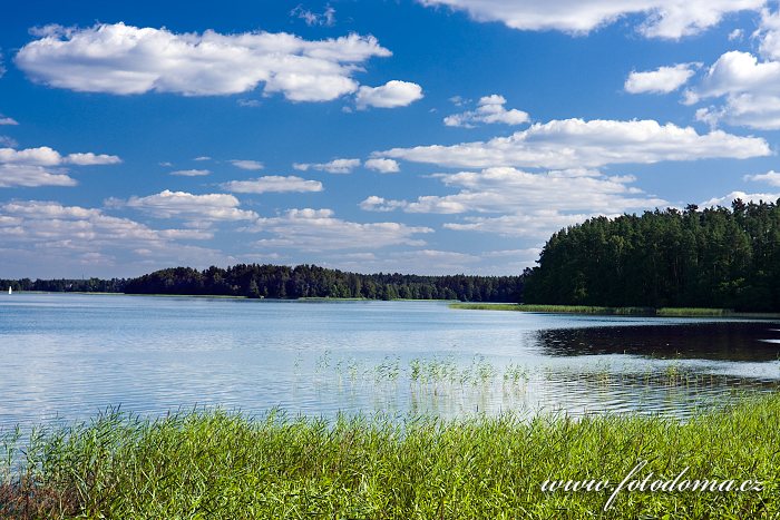 Fotka Zatoka Slupianska, jezero Wigry, Wigierski Park Narodowy, Polsko