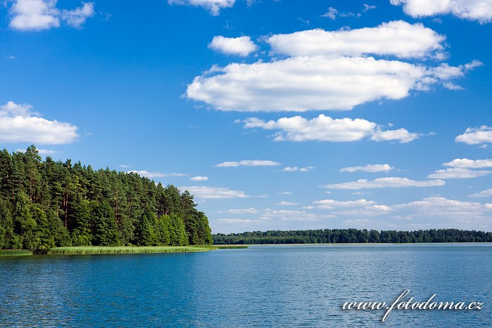 Fotka Zatoka Slupianska, jezero Wigry, Wigierski Park Narodowy, Polsko