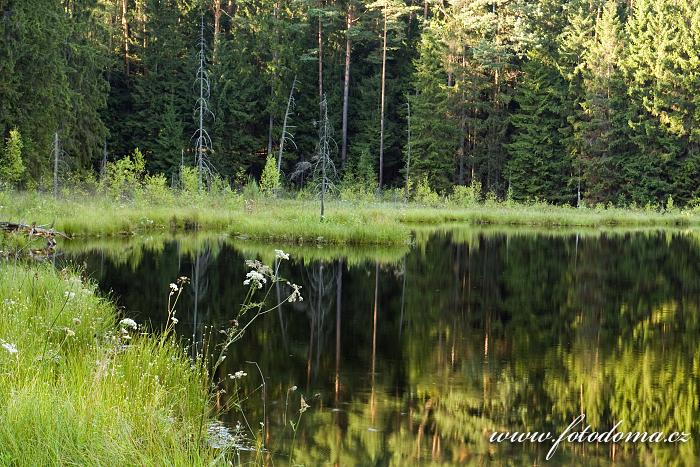 Fotka Jezero Suchar Rzepiskowy, Wigierski Park Narodowy, Polsko