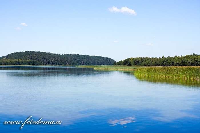 Fotka Jezero Wigry, Piasky, Wigierski Park Narodowy, Polsko