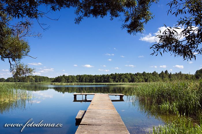 Fotka Jezero Wigry, Wigry, Wigierski Park Narodowy, Polsko