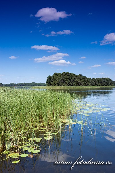 Fotka Jezero Wigry, Wigry, Wigierski Park Narodowy, Polsko