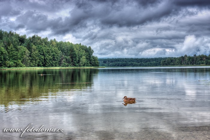 Fotka Jezero Baluošas, Aukštaitijos národní park, Litva