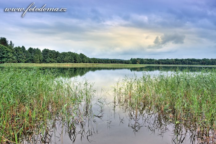 Fotka Jezero Linkmenas v blízkosti Ginučiai, Aukštaitijos národní park, Litva