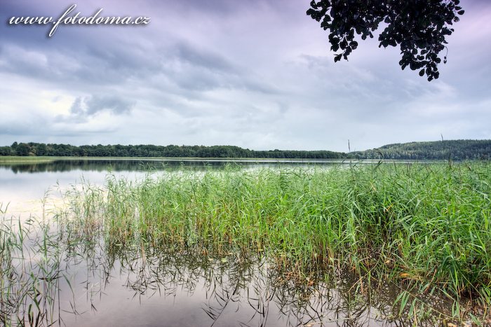 Fotka Jezero Linkmenas v blízkosti Ginučiai, Aukštaitijos národní park, Litva