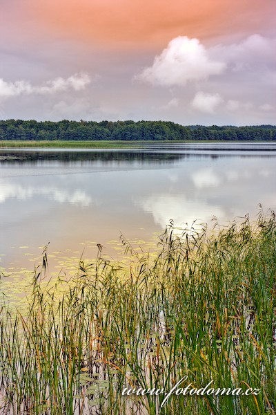 Fotka Jezero Linkmenas v blízkosti Ginučiai, Aukštaitijos národní park, Litva