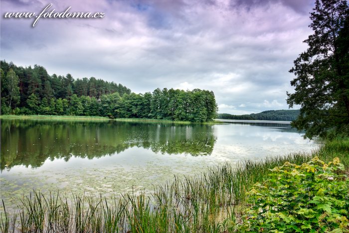 Fotka Jezero Linkmenas v blízkosti Ginučiai, Aukštaitijos národní park, Litva