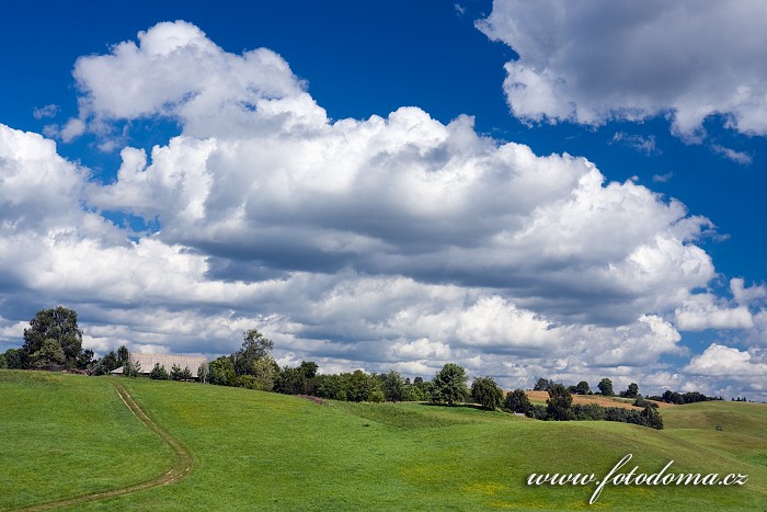 Fotka Krajina, Lepelionys, Litva