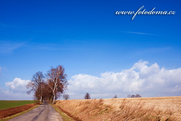 Galerie fotografií cest a cestiček