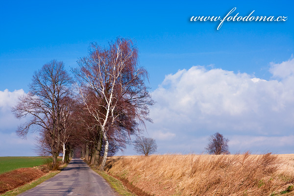 Galerie fotografií cest a cestiček