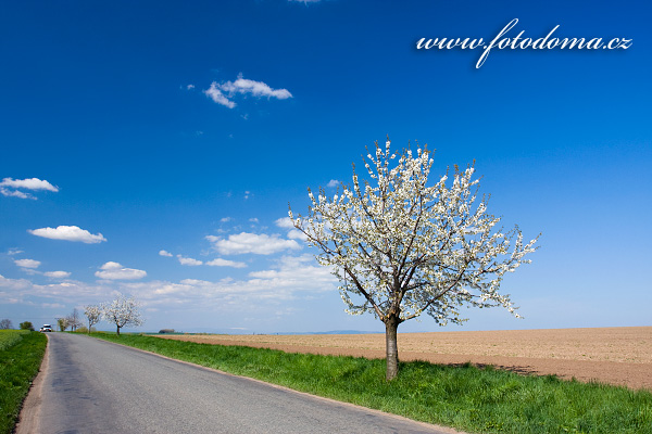 Galerie fotografií cest a cestiček