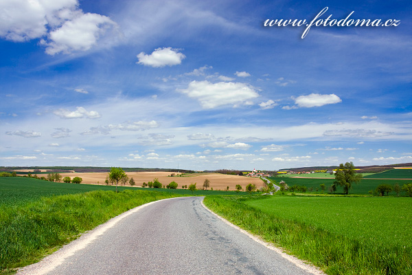 Galerie fotografií cest a cestiček