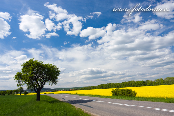 Galerie fotografií cest a cestiček