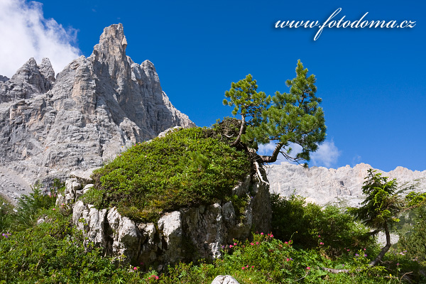 Galerie fotografií italské Dolomity