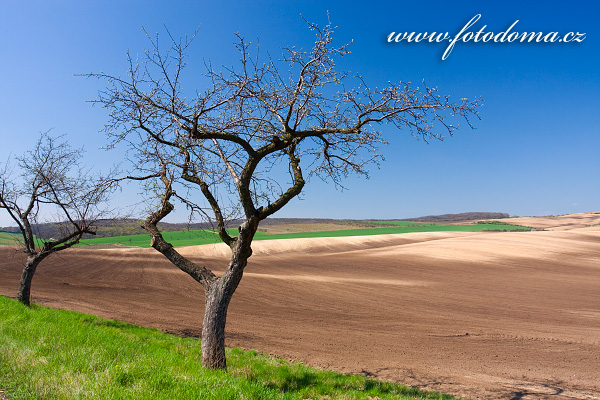 Galerie fotografií krajiny