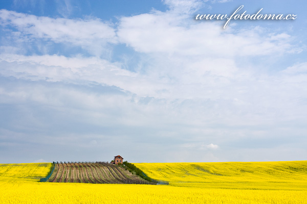 Galerie fotografií krajiny