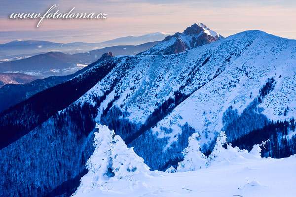 Fotografie Vek Rozsutec ze Snilovskho sedla, NP Mal Fatra, Slovensko